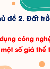 CN Trồng trọt - Bài 6. Ứng dụng công nghệ cao trong sản xuất một số giả thể trồng cây